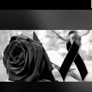 Meet your Posher, Noel